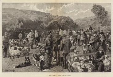 Een grensschapen-show